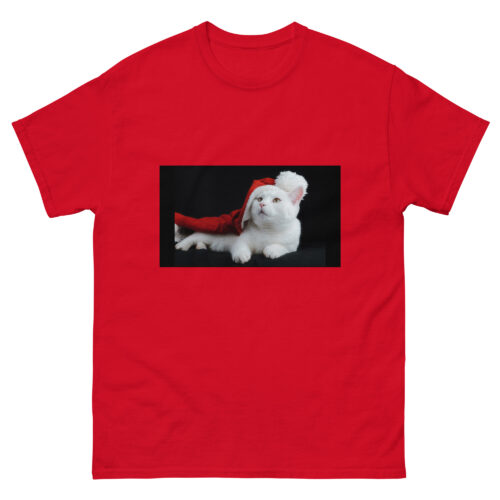 Klassisches Unisex T-Shirt