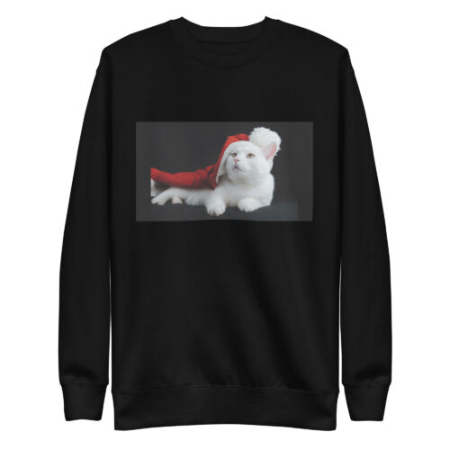 Unisex-Premium-Pullover